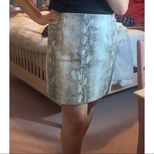 Dynamite Snake Print Faux Leather Skirt XL